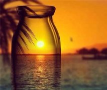 自律的女人最美的句子(32句)