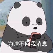 幽默对付不回信息的人(55句)