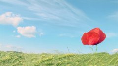 被孩子气疯的经典句子(42句)