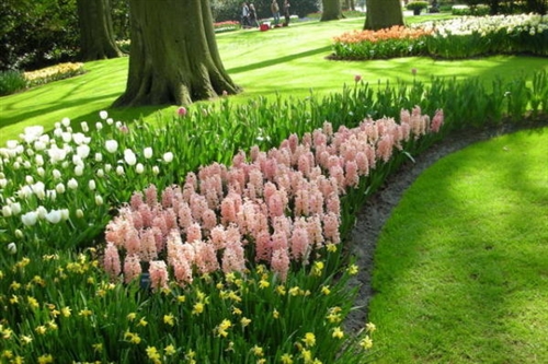 不被生活所羁绊的句子(精选43句)