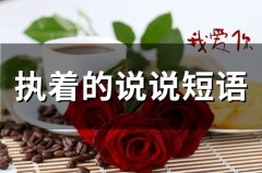 执着的说说短语 关于执着的唯美句子