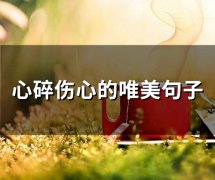 心碎伤心的唯美句子 伤感心碎落泪句子
