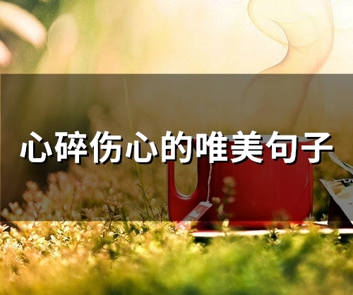 心碎伤心的唯美句子 伤感心碎落泪句子