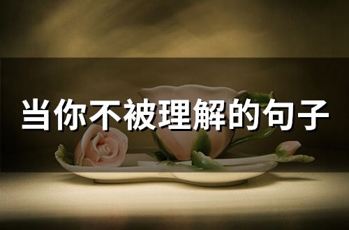 当你不被理解的句子 一个人不被理解的句子