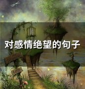 对感情绝望的句子 对感情绝望死心的句子