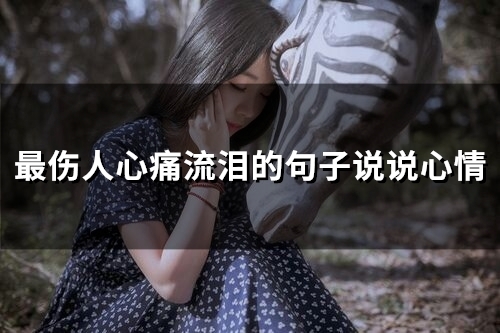最伤人心痛流泪的句子说说心情 伤感心痛流泪的说说