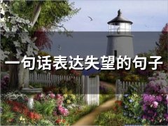 一句话表达失望的句子 形容失望至极的句子