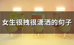 女生很拽很潇洒的句子 又a又飒的文案