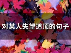 对某人失望透顶的句子 对一个人好失望的语句