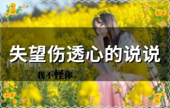 失望伤透心的说说 心伤透了的心情句子