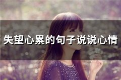 失望心累的句子说说心情 累到绝望的句子