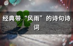 经典带“风雨”的诗句诗词 含有风雨的古诗词