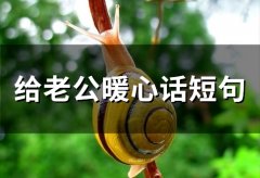 给老公暖心话短句 对老公说的暖心话简短