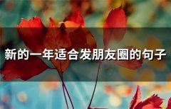 新的一年适合发朋友圈的句子(精选34句)