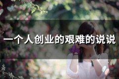 一个人创业的艰难的说说(36句)