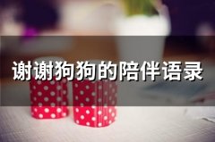 谢谢狗狗的陪伴语录(精选35句)