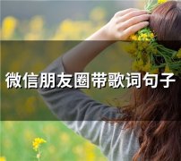 微信朋友圈带歌词句子(精选62句)