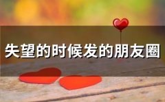 失望的时候发的朋友圈(67句)