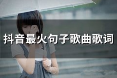 抖音最火句子歌曲歌词(67句)