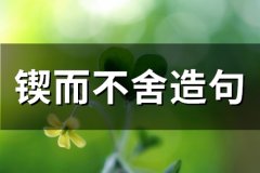 锲而不舍造句(26句)