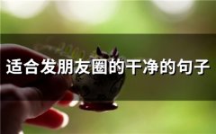 适合发朋友圈的干净的句子(66句)