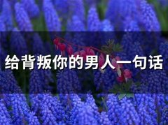 给背叛你的男人一句话(精选50句)