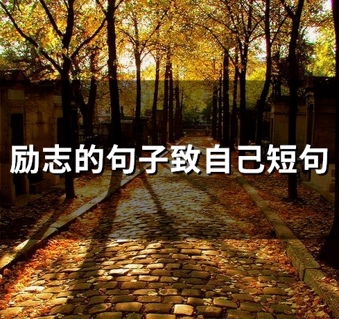 励志的句子致自己短句(55句) 励志的句子致自己短句(55句)