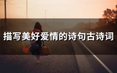 描写美好爱情的诗句古诗词(34句)