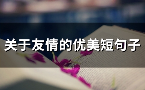 关于友情的优美短句子(68句)
