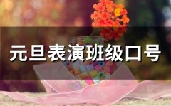 元旦表演班级口号(精选47句)