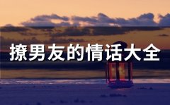 撩男友的情话大全(66句)