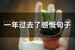 一年过去了感慨句子(62句)