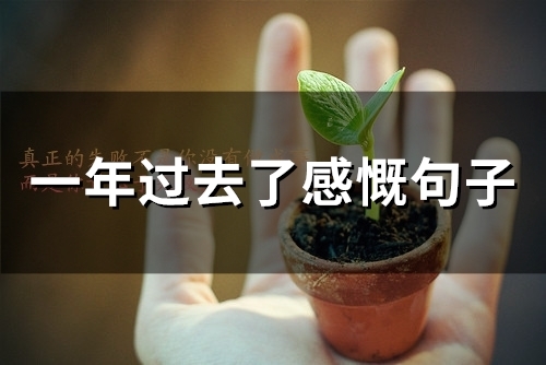 一年过去了感慨句子(62句)