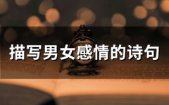 描写男女感情的诗句(67句)