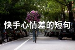 快手心情差的短句(68句)