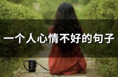 一个人心情不好的句子(67句)