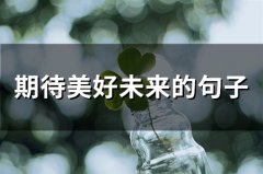期待美好未来的句子(46句)