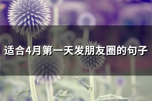 适合4月第一天发朋友圈的句子(53句)(四月份第一天的说说朋友圈)