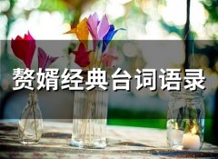 赘婿经典台词语录(69句)