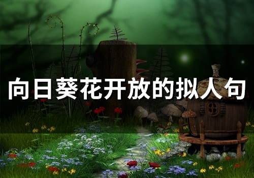 向日葵花开放的拟人句(38句)