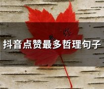 抖音点赞最多哲理句子(精选67句)