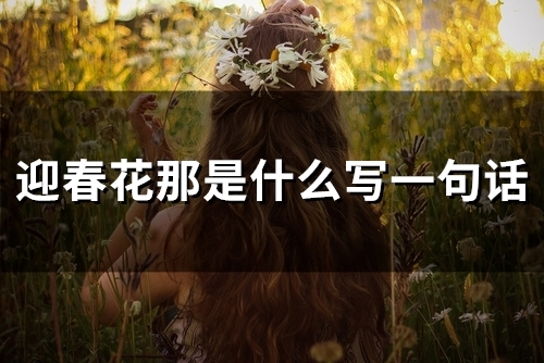 迎春花那是什么写一句话(18句)