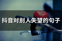 抖音对别人失望的句子(66句)