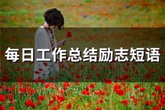 每日工作总结励志短语(精选65句)
