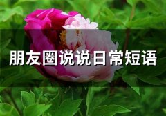 朋友圈说说日常短语(精选66句)