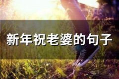 新年祝老婆的句子(37句)