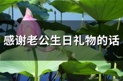 感谢老公生日礼物的话(31句)