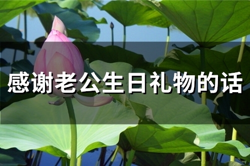 感谢老公生日礼物的话(31句)