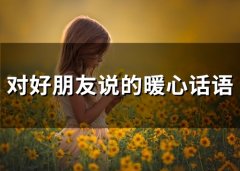 对好朋友说的暖心话语(精选75句)