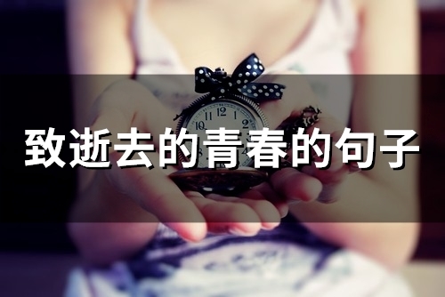 致逝去的青春的句子(50句)(致逝去的青春的歌)